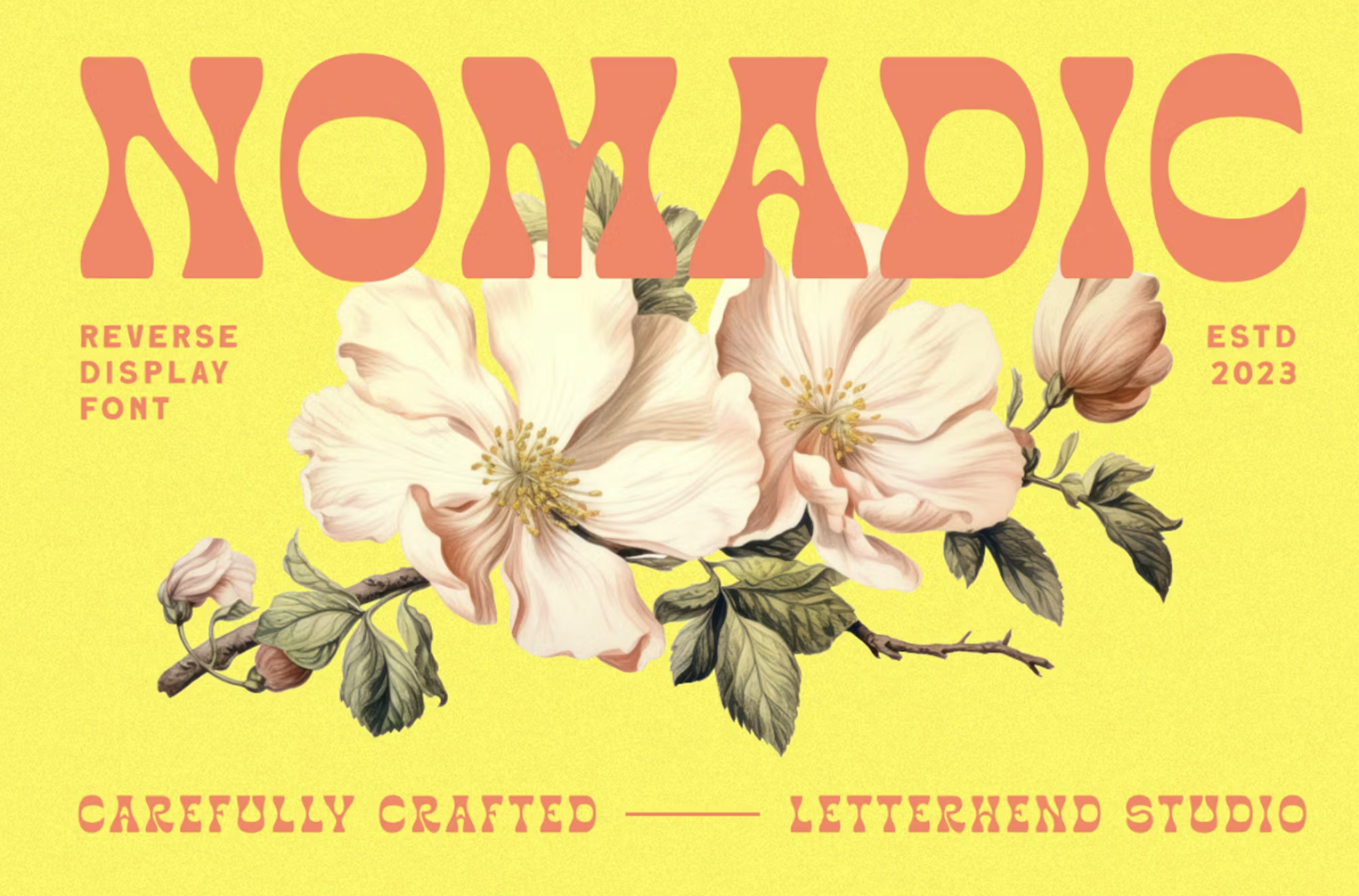 Nomadic by letterhend, one of our team's favorite fonts 